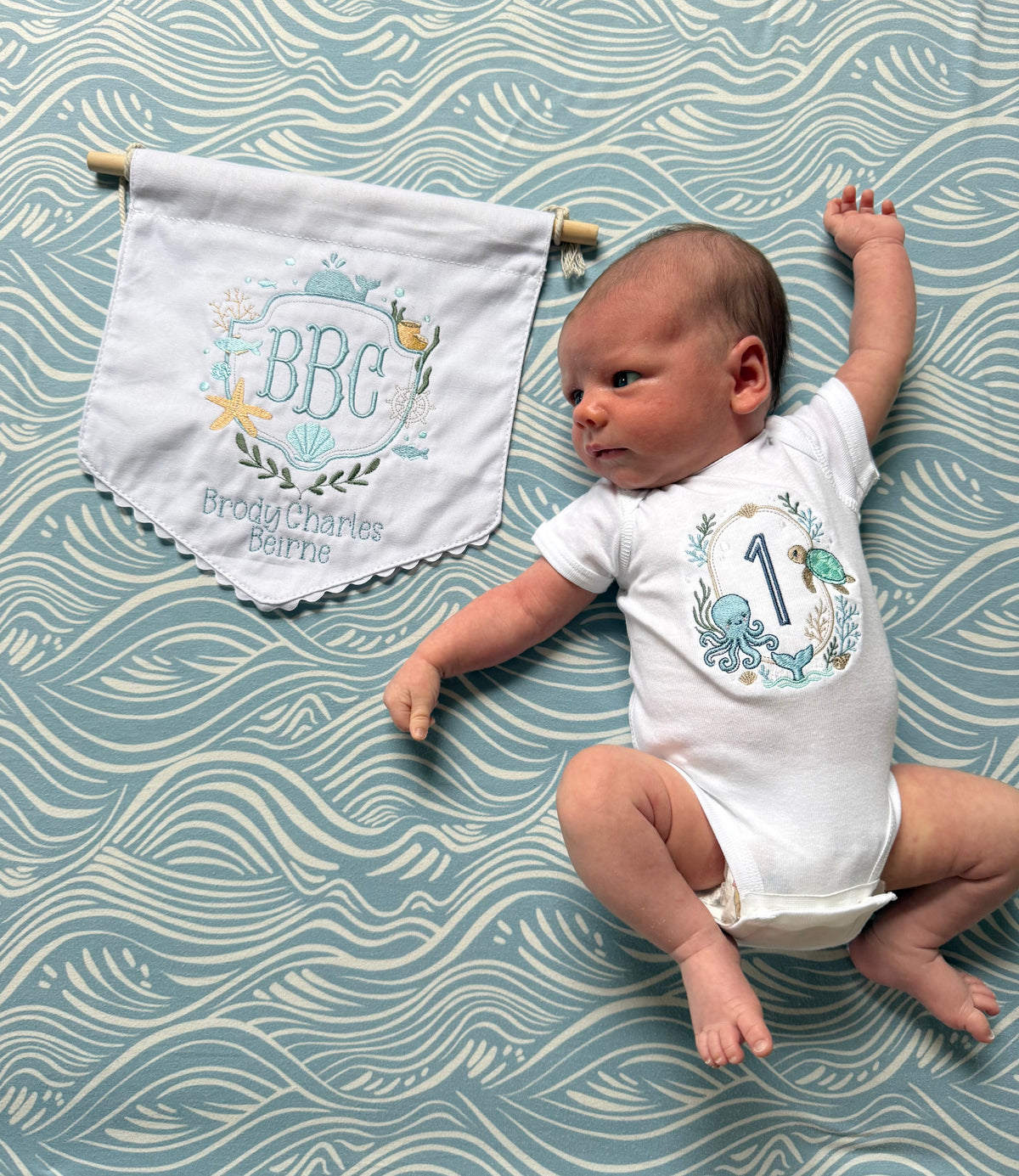 The Birth Story Banner